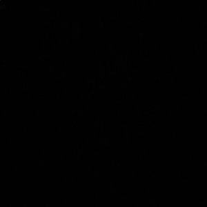 Meet your Posher, Wesley